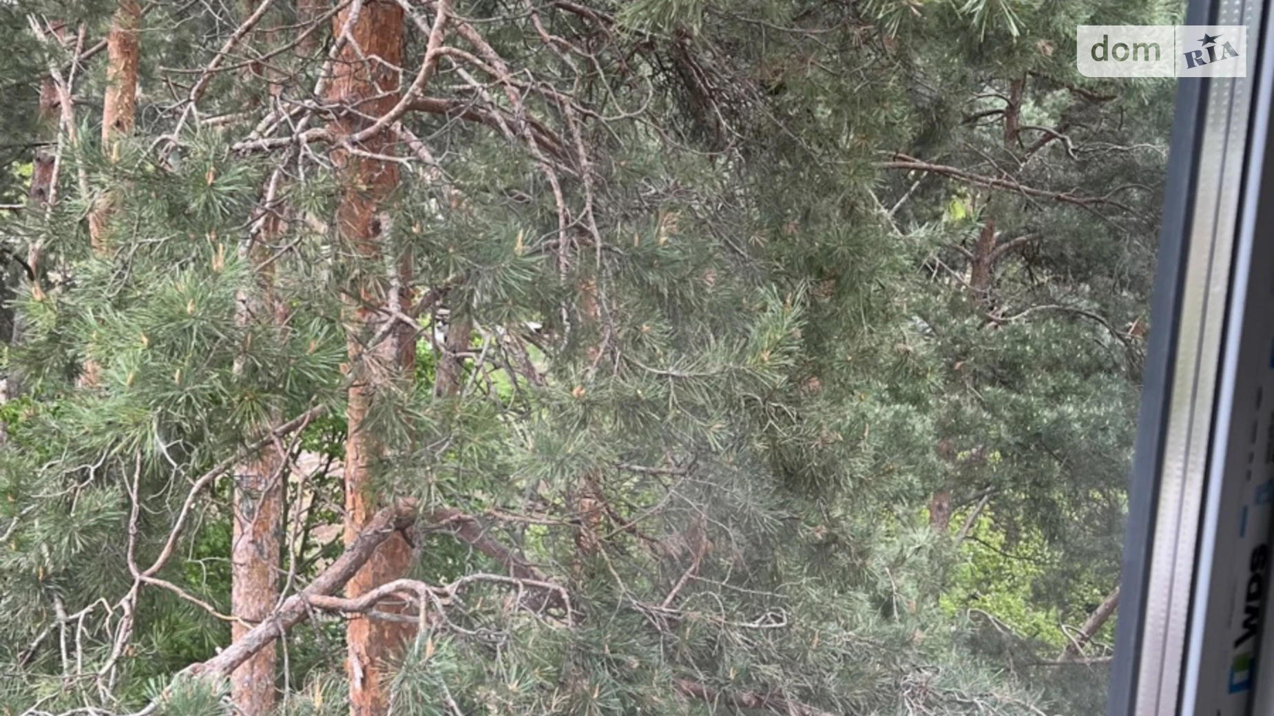 Продается 1-комнатная квартира 36.8 кв. м в Киеве, ул. Радистов, 24 - фото 4