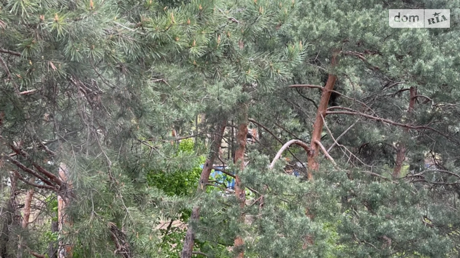 Продается 1-комнатная квартира 36.8 кв. м в Киеве, ул. Радистов, 24 - фото 5