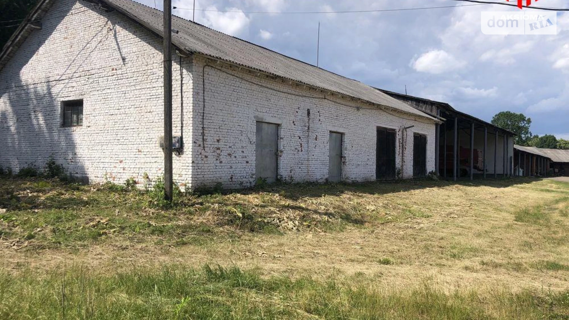 Коцюрина Великий Ключов, цена: 300000 $ - фото 5