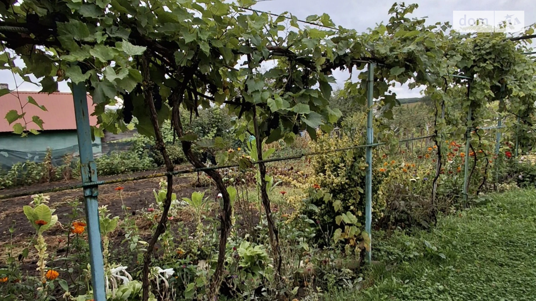 Продается земельный участок 6 соток в Тернопольской области, цена: 7000 $ - фото 2