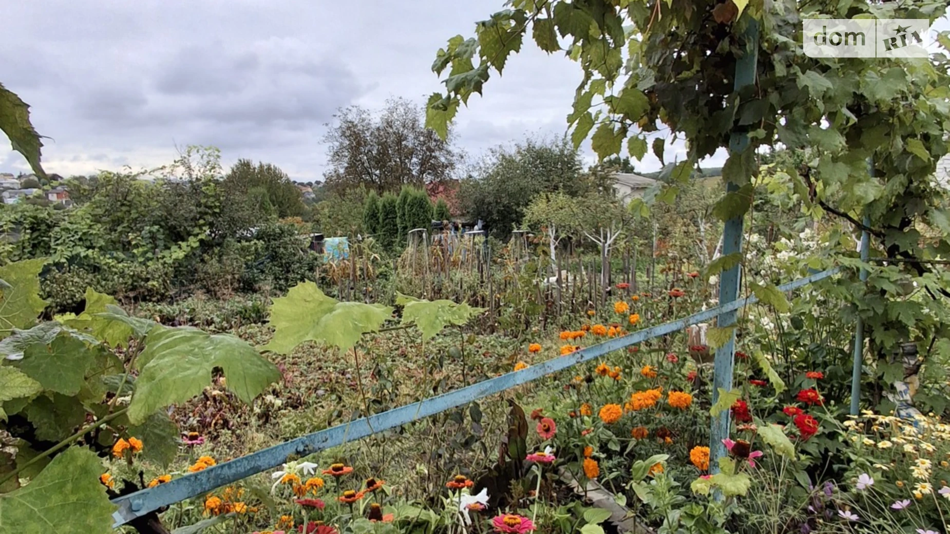 Продается земельный участок 6 соток в Тернопольской области, цена: 7000 $ - фото 3