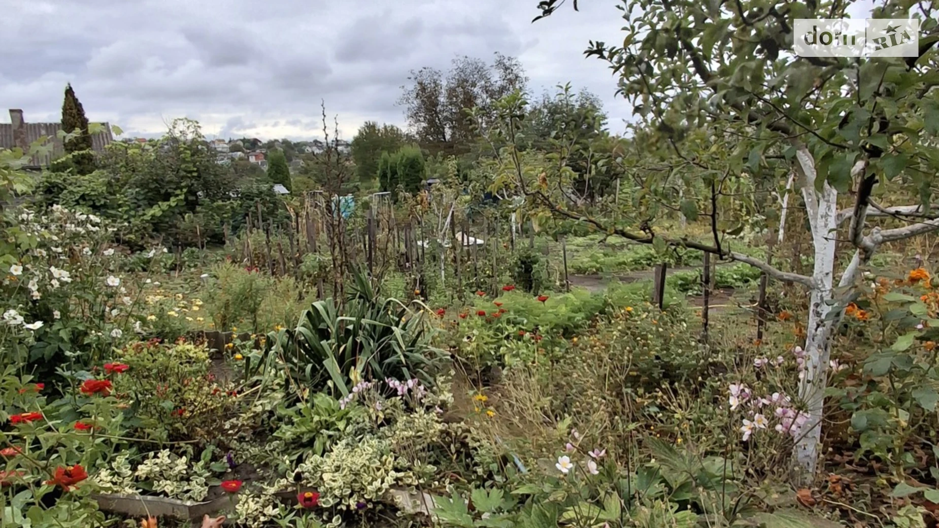 Продается земельный участок 6 соток в Тернопольской области, цена: 7000 $ - фото 4