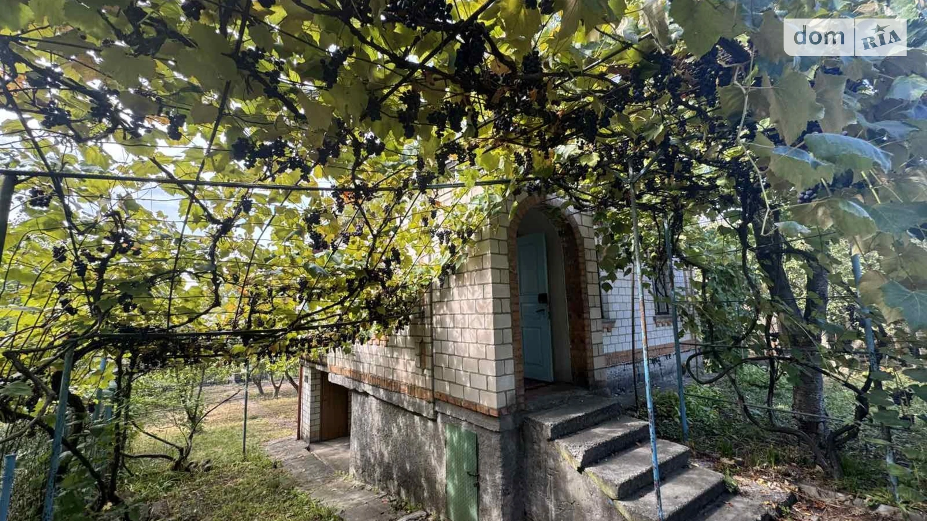 вулиця Родинна Щитки, цена: 35000 $ - фото 2