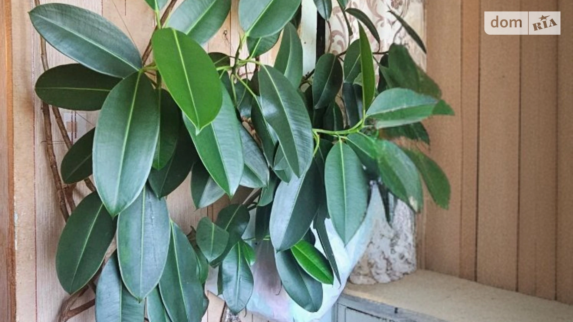 Продається 1-кімнатна квартира 34 кв. м у Рівному, вул. Фабрична, 24 - фото 4