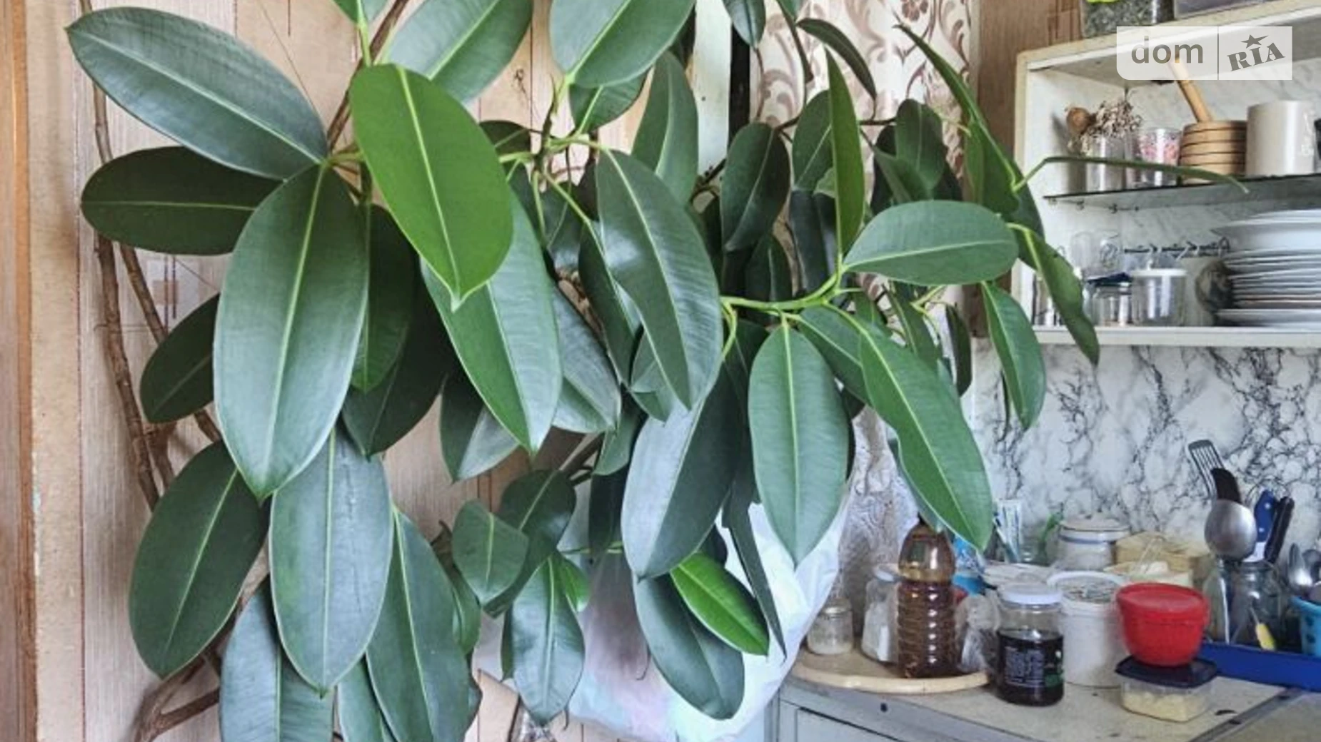 Продається 1-кімнатна квартира 34.6 кв. м у Рівному, вул. Фабрична, 24 - фото 4