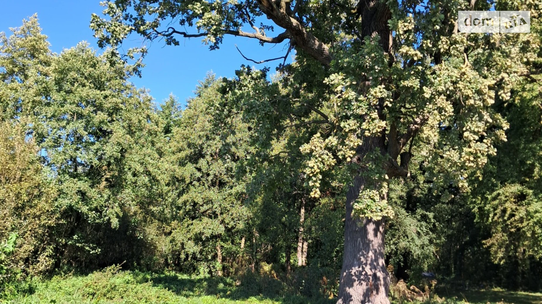 3-й тупик Партизанский Корделевка, цена: 55000 $ - фото 5