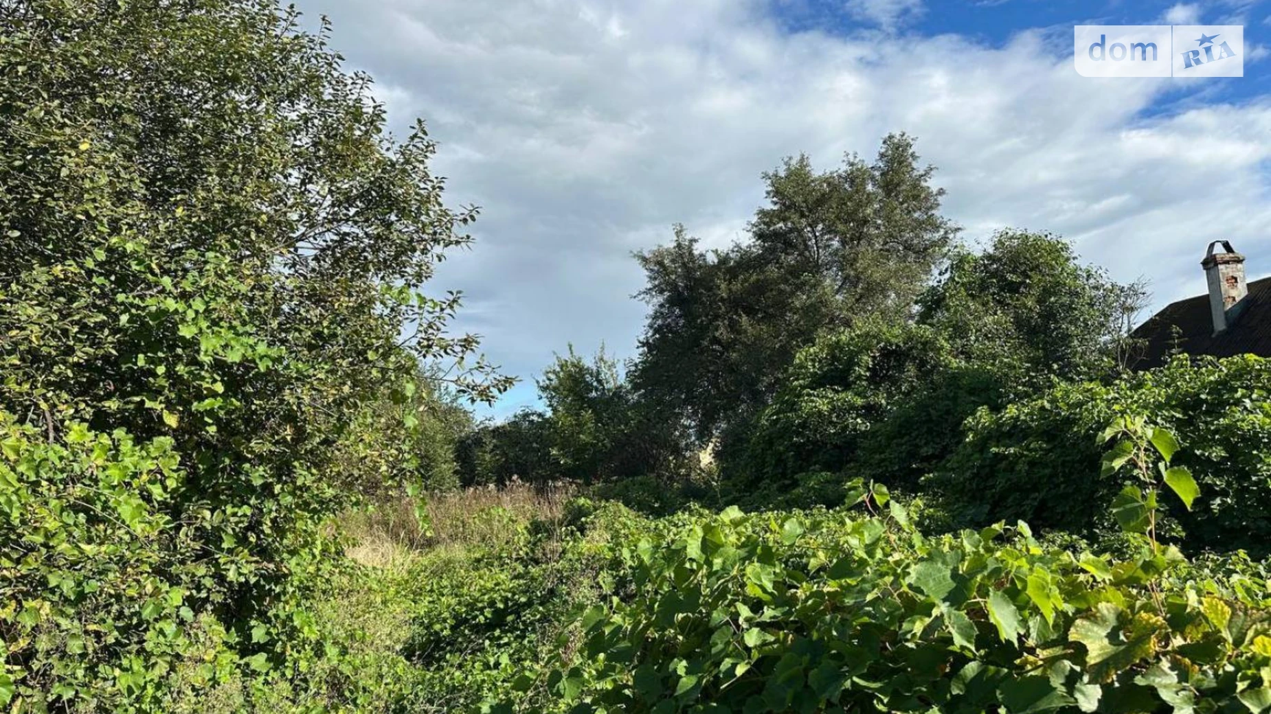 Продается земельный участок 32.87 соток в Ивано-Франковской области, цена: 34000 $ - фото 4