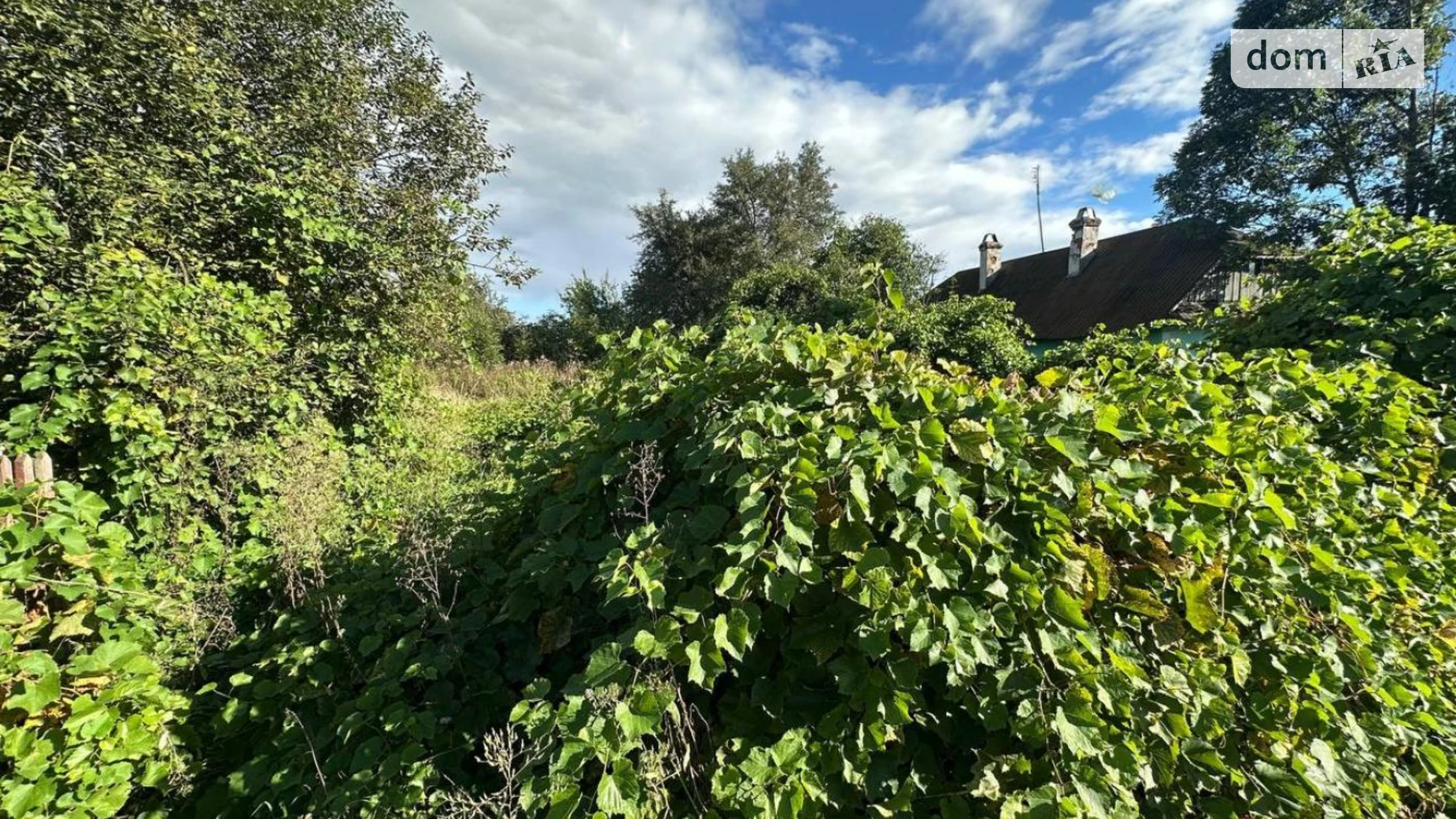Продается земельный участок 32.87 соток в Ивано-Франковской области, цена: 34000 $ - фото 5