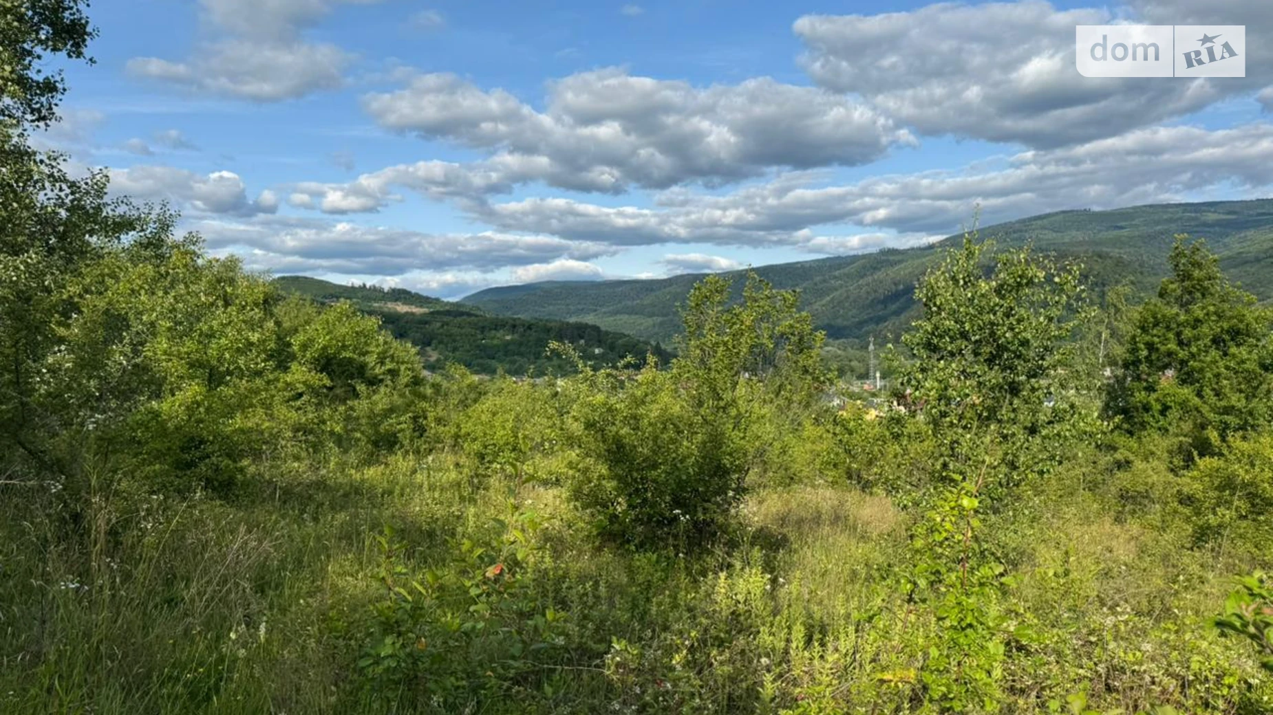 Продается земельный участок 18 соток в Закарпатской области, цена: 50000 $ - фото 5