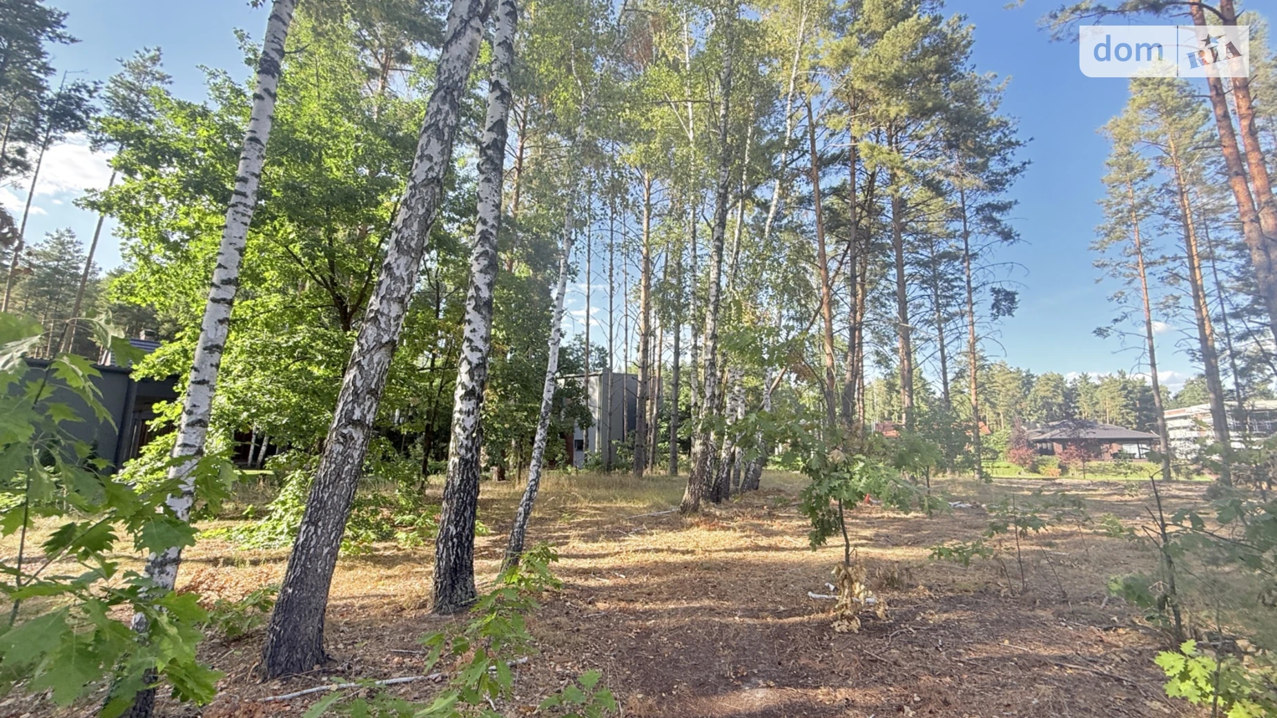 ул. Дамба Киевского водохранилища Лебедевка, цена: 230000 $ - фото 3