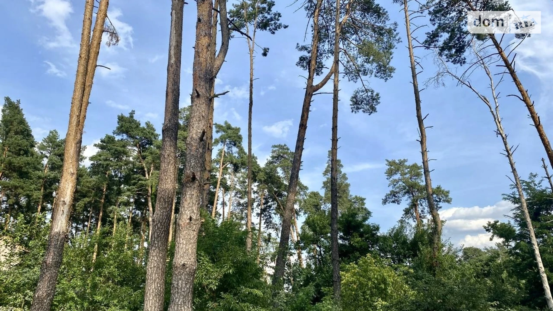 вул. Сім’ї Красовських Буча, цена: 85000 $ - фото 3