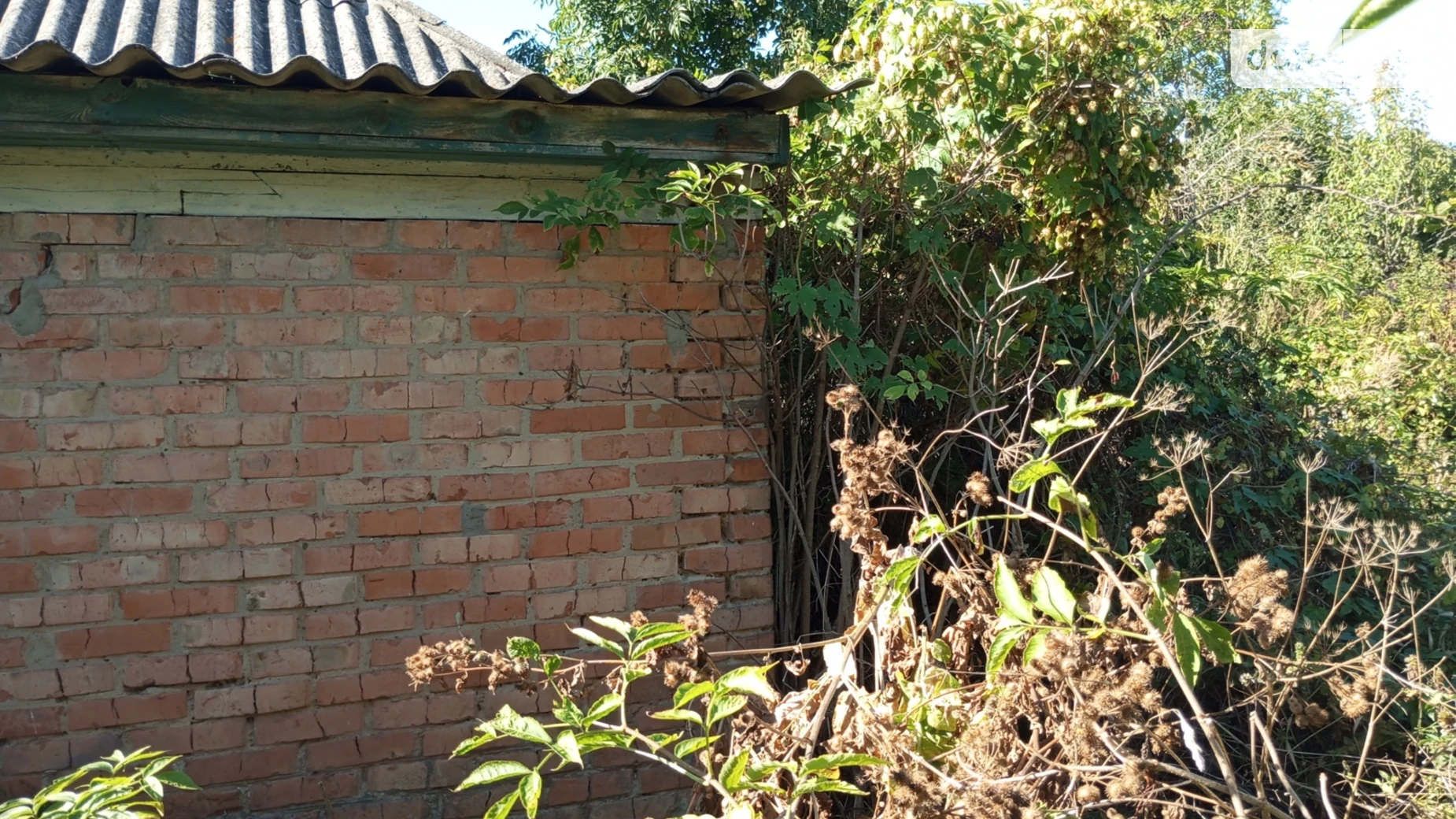 Продается земельный участок 24 соток в Винницкой области, цена: 9500 $ - фото 3