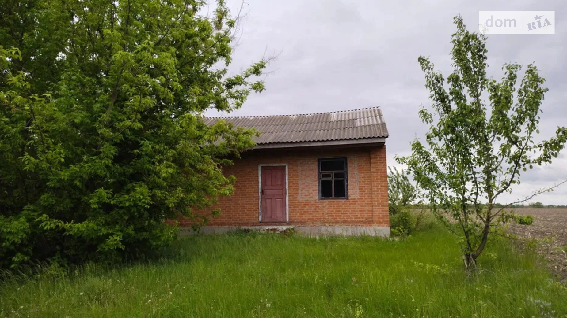 Полтавська Высший Булатец, цена: 2000 $ - фото 4
