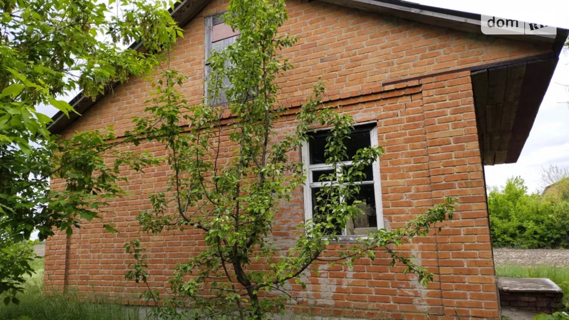 Полтавська Высший Булатец, цена: 2000 $ - фото 5