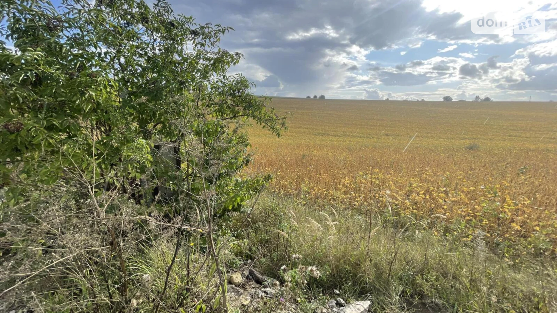 ул. Вишневая Подгородное, цена: 21000 $ - фото 5
