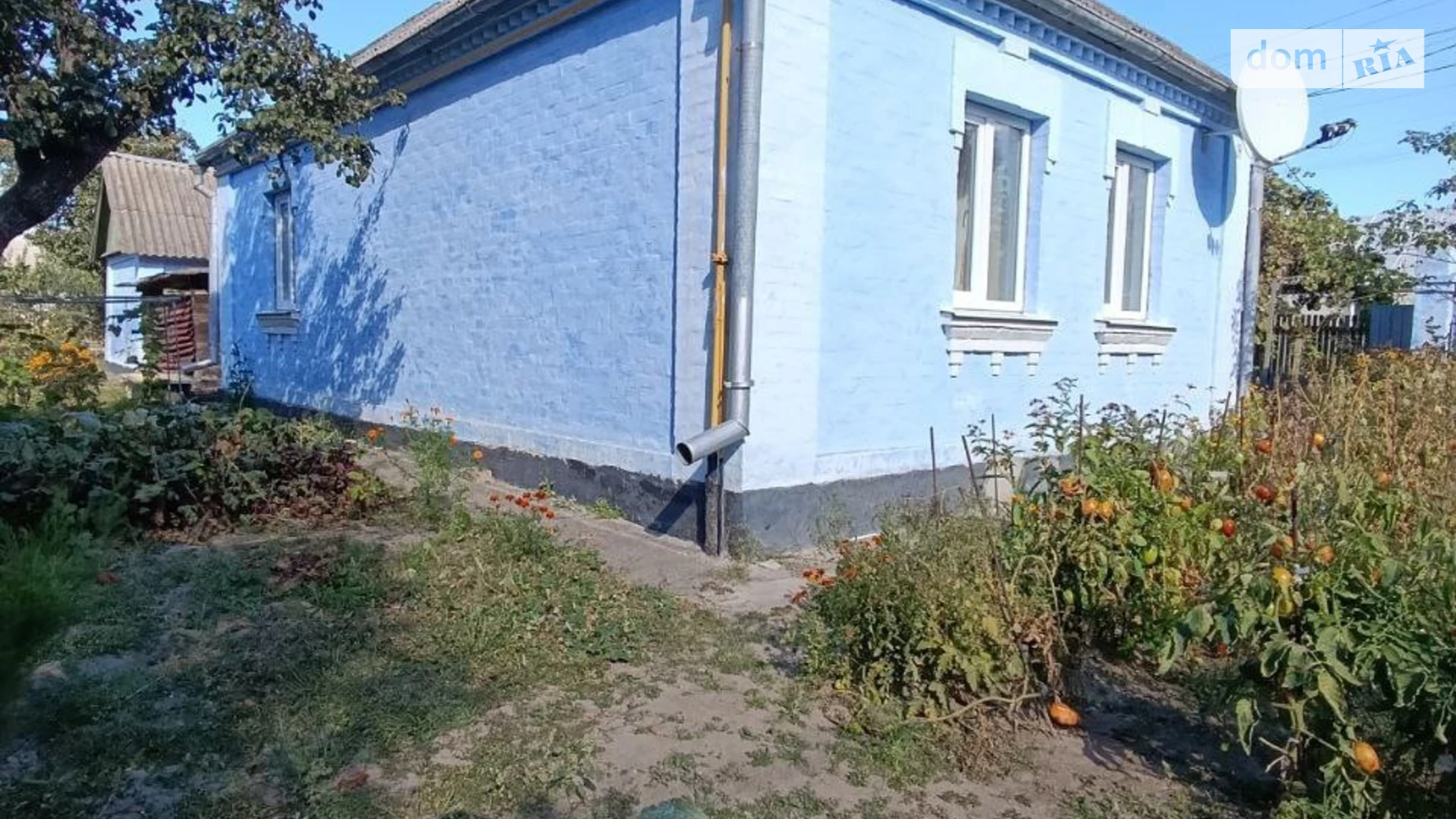 Продается одноэтажный дом 52.2 кв. м с подвалом, цена: 50000 $ - фото 4
