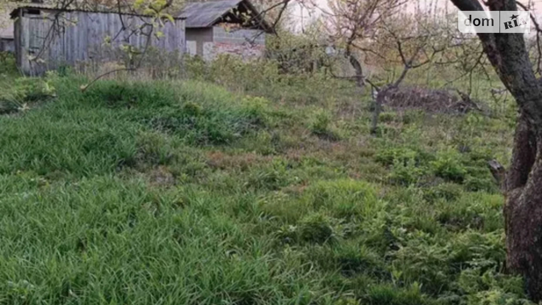 Полтавська Тарасовка (Оржица), цена: 2300 $ - фото 2
