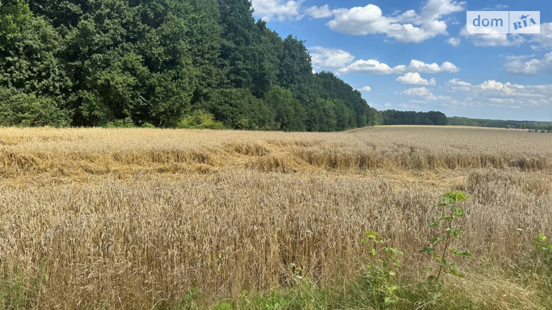 Продается земельный участок 11 соток в Винницкой области, цена: 1320000 $ - фото 5