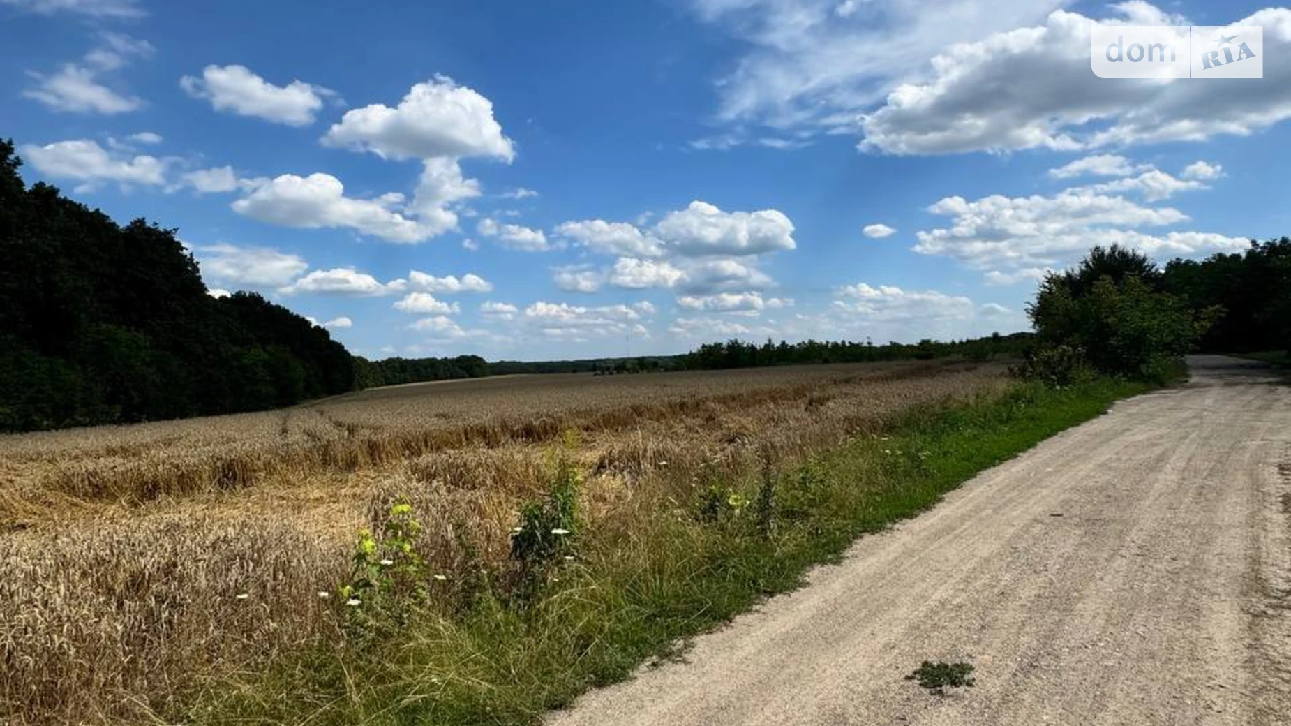 Зарванцы, цена: 365000 $ - фото 3