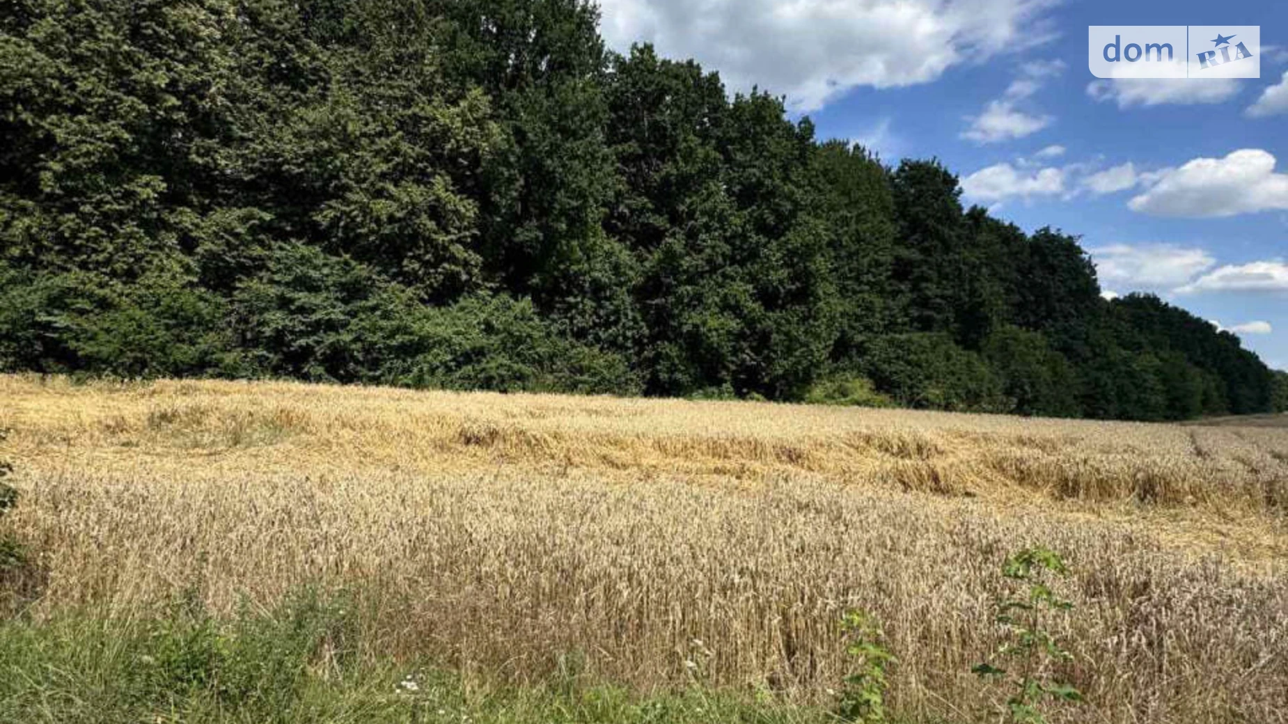 Зарванцы, цена: 365000 $ - фото 2