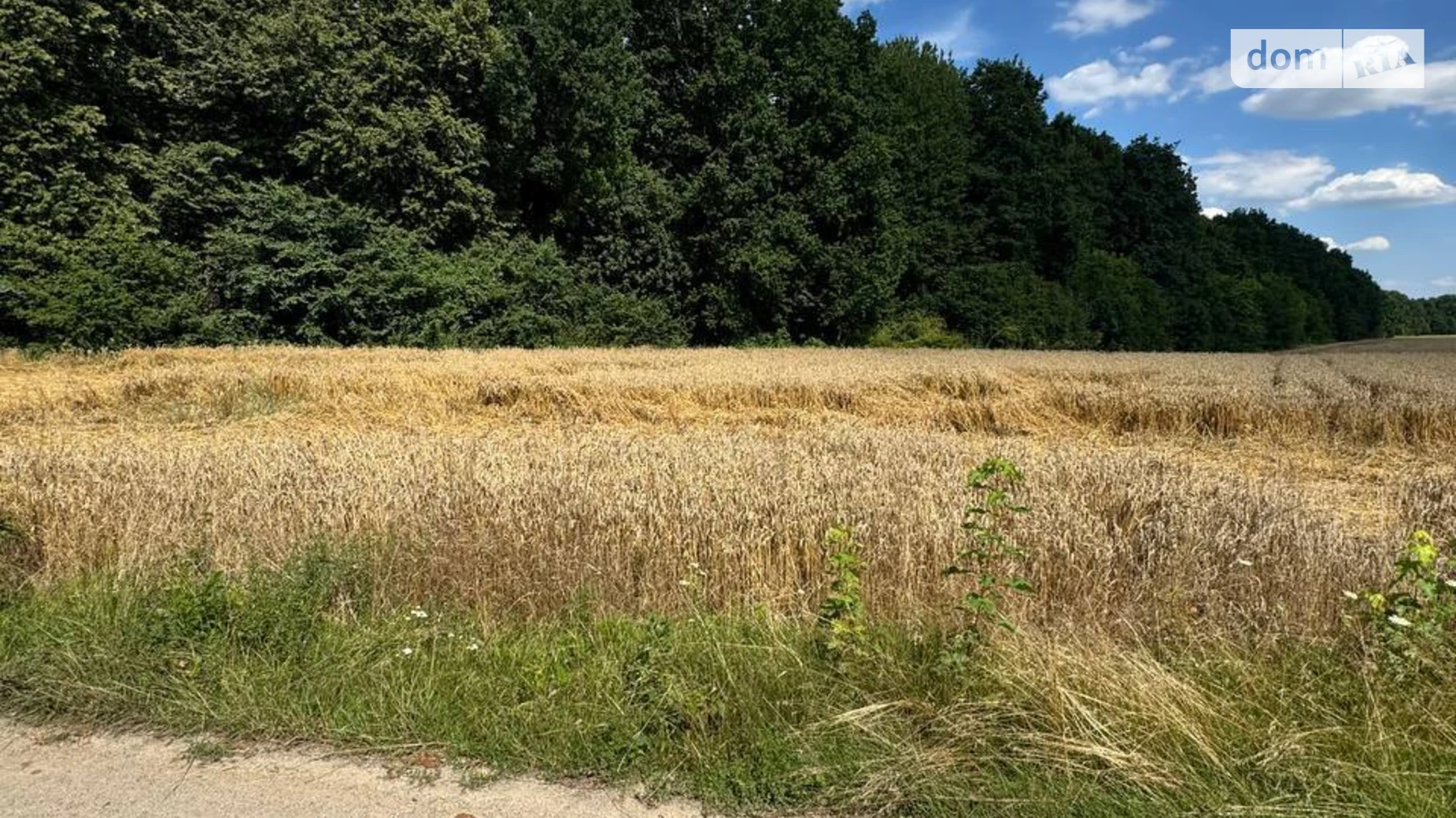 Зарванцы, цена: 365000 $ - фото 4