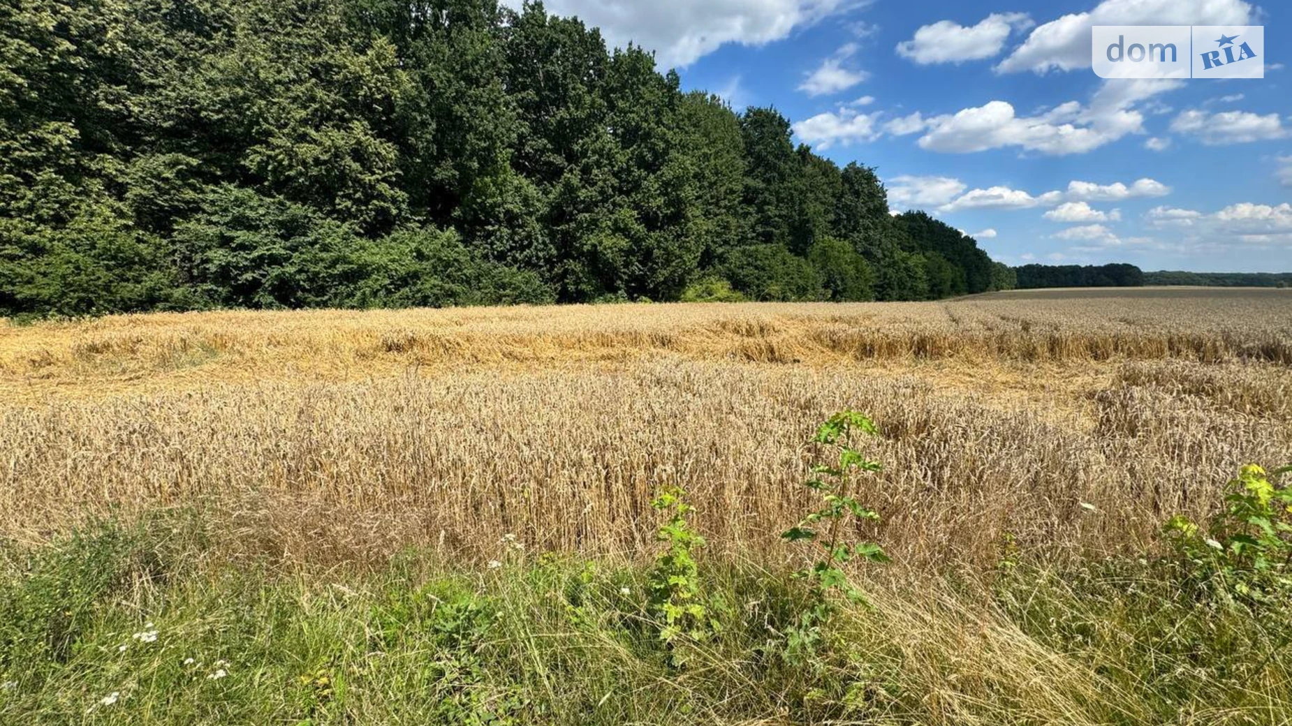 Зарванцы, цена: 365000 $ - фото 5