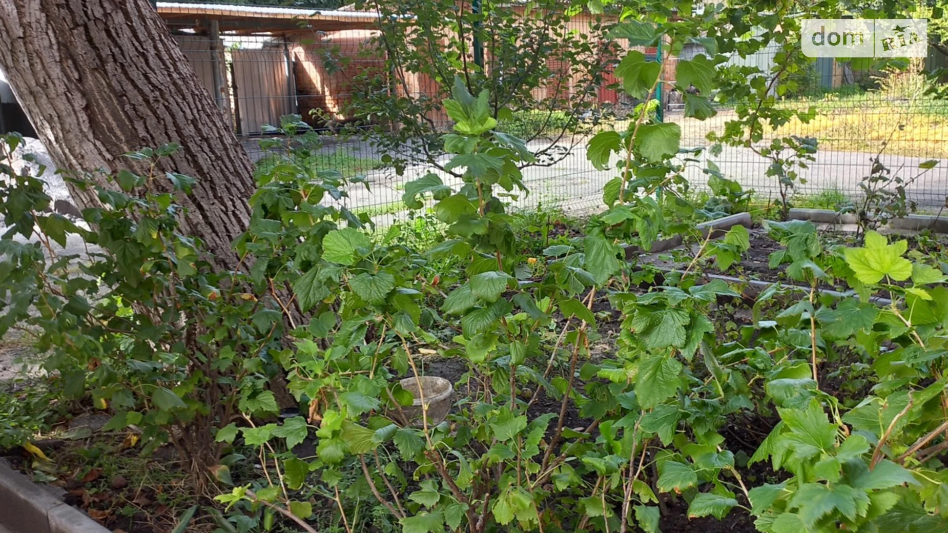 Продается 3-комнатная квартира 55.9 кв. м в Виннице, ул. Александра Довженка - фото 2