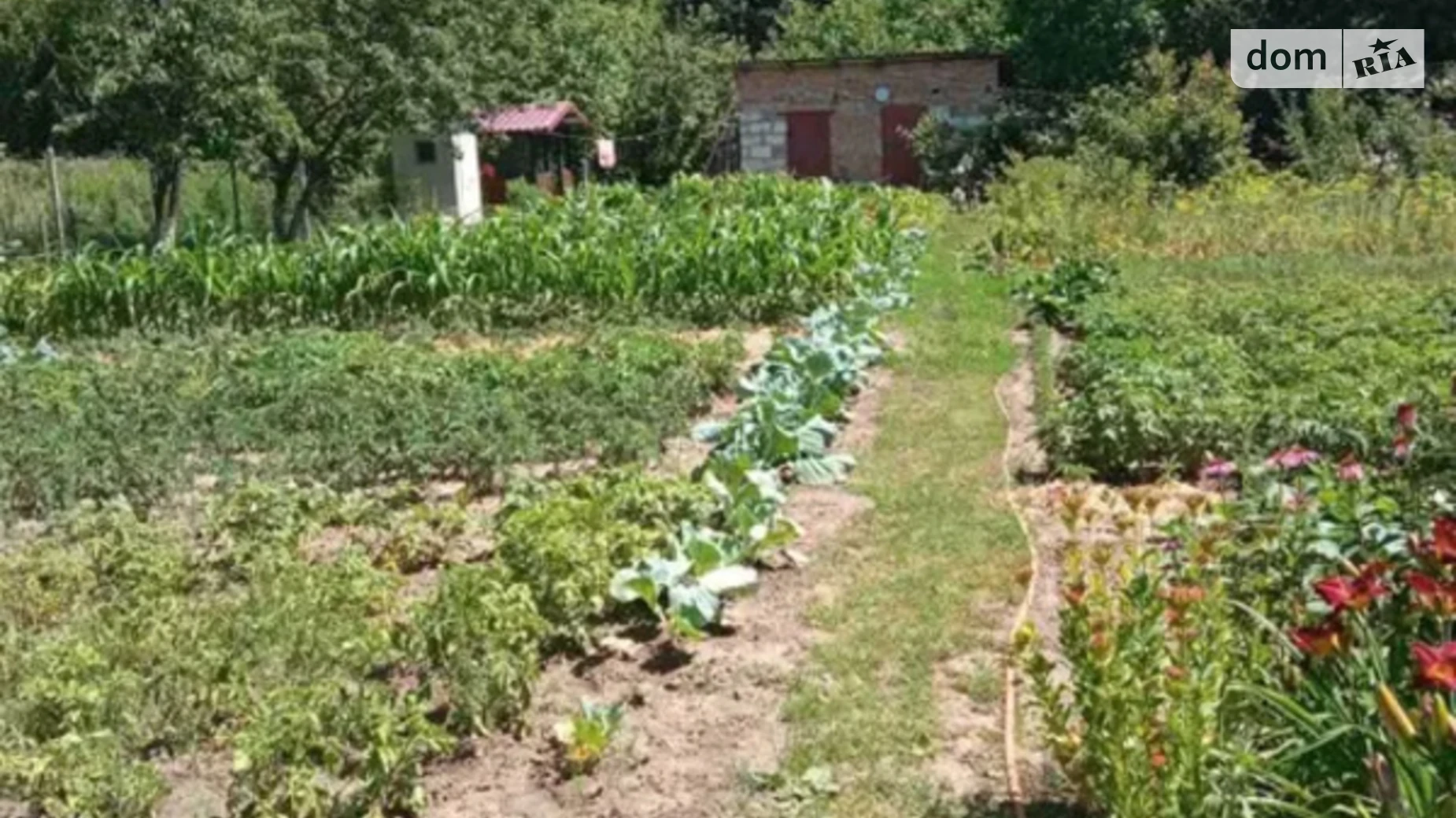 Продается земельный участок 12 соток в Полтавской области, цена: 27000 € - фото 2