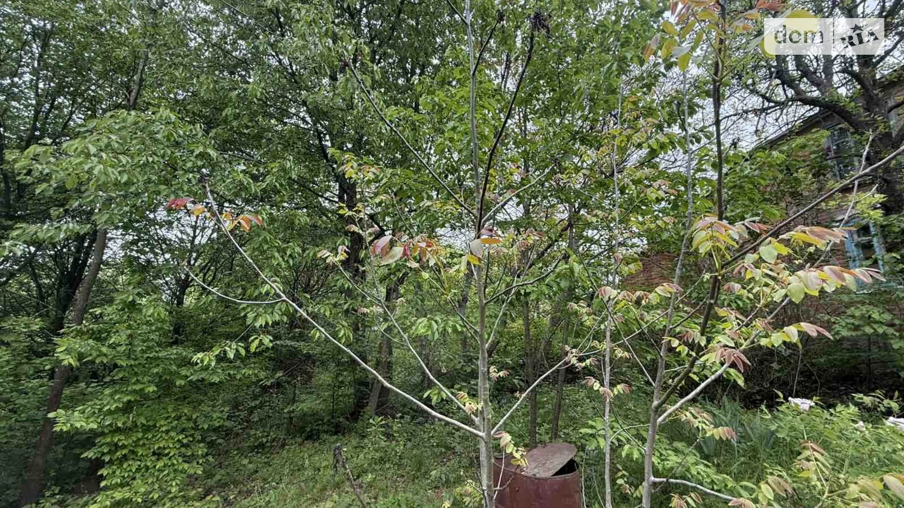 Продается земельный участок 10 соток в Винницкой области, цена: 4500 $ - фото 5