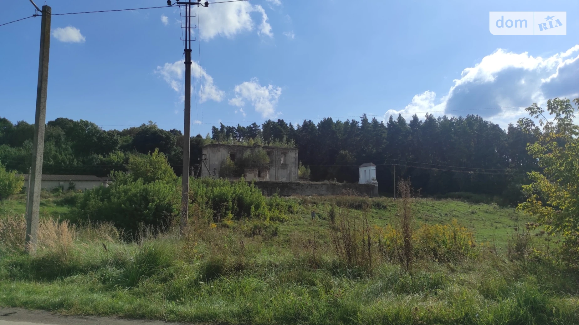 Тайкури, цена: 7000 $ - фото 5