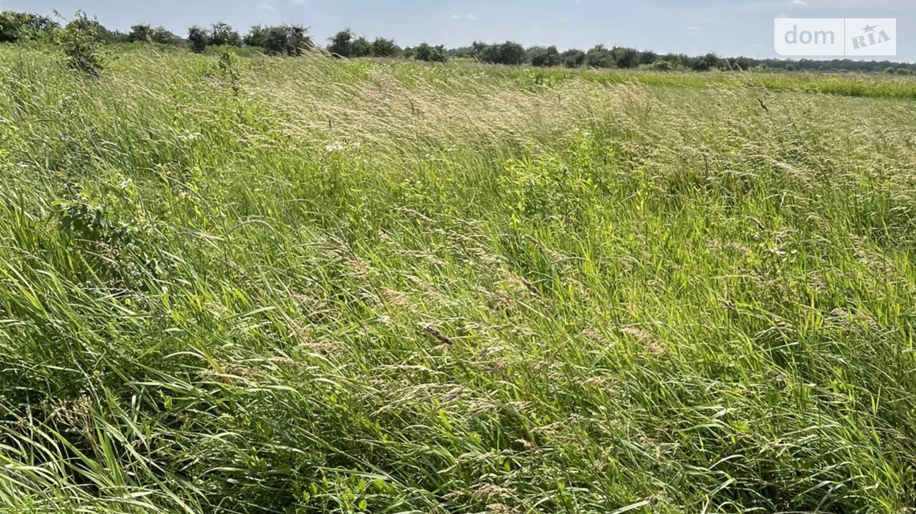 ул. Заречная Бохоники, цена: 22000 $ - фото 4