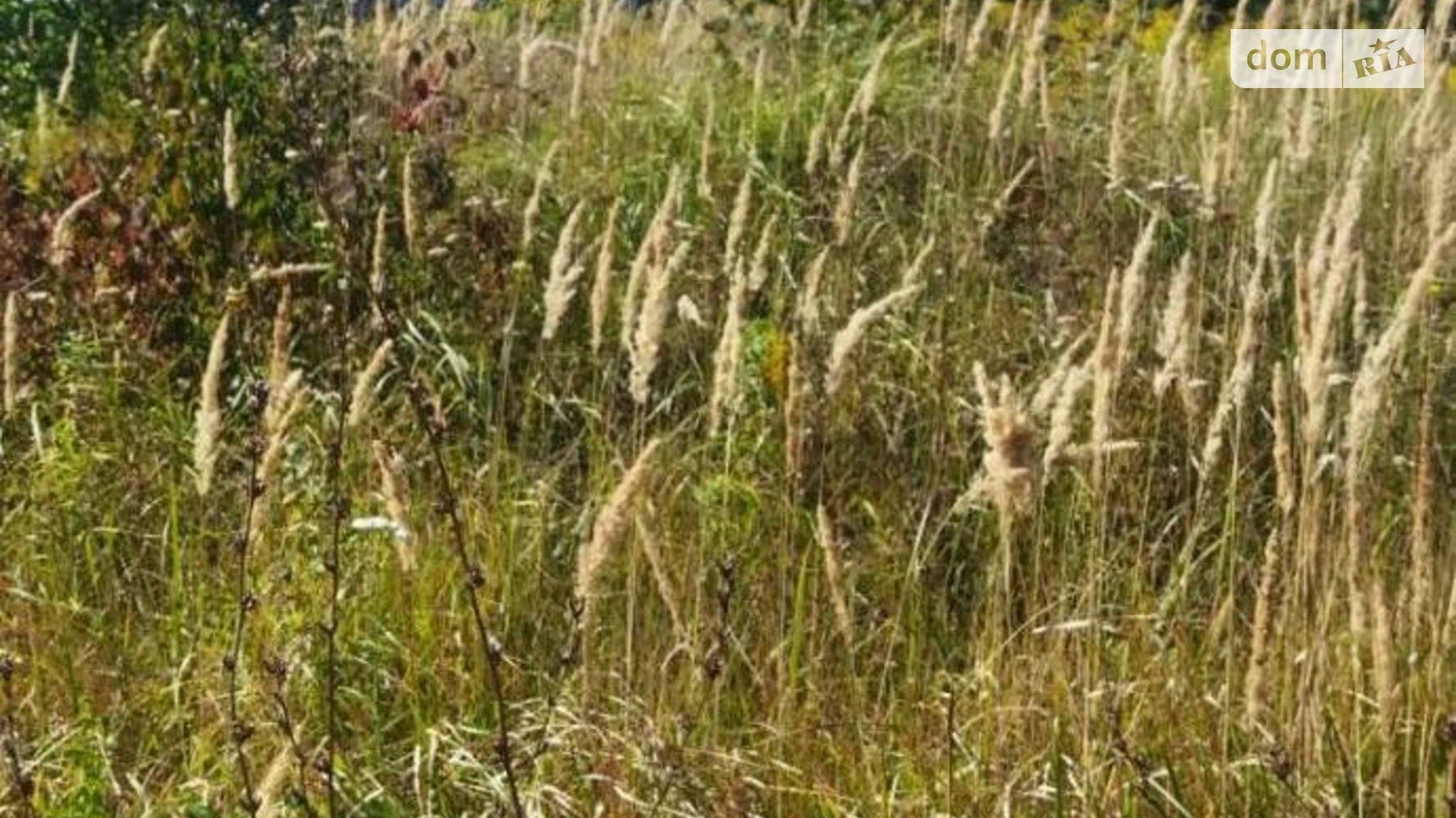 Продається земельна ділянка 8 соток у Київській області, цена: 6000 $ - фото 4