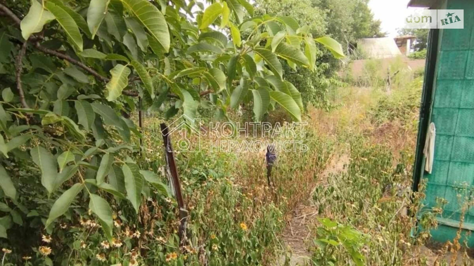 Продается часть дома 59 кв. м с подвалом, цена: 18000 $ - фото 3