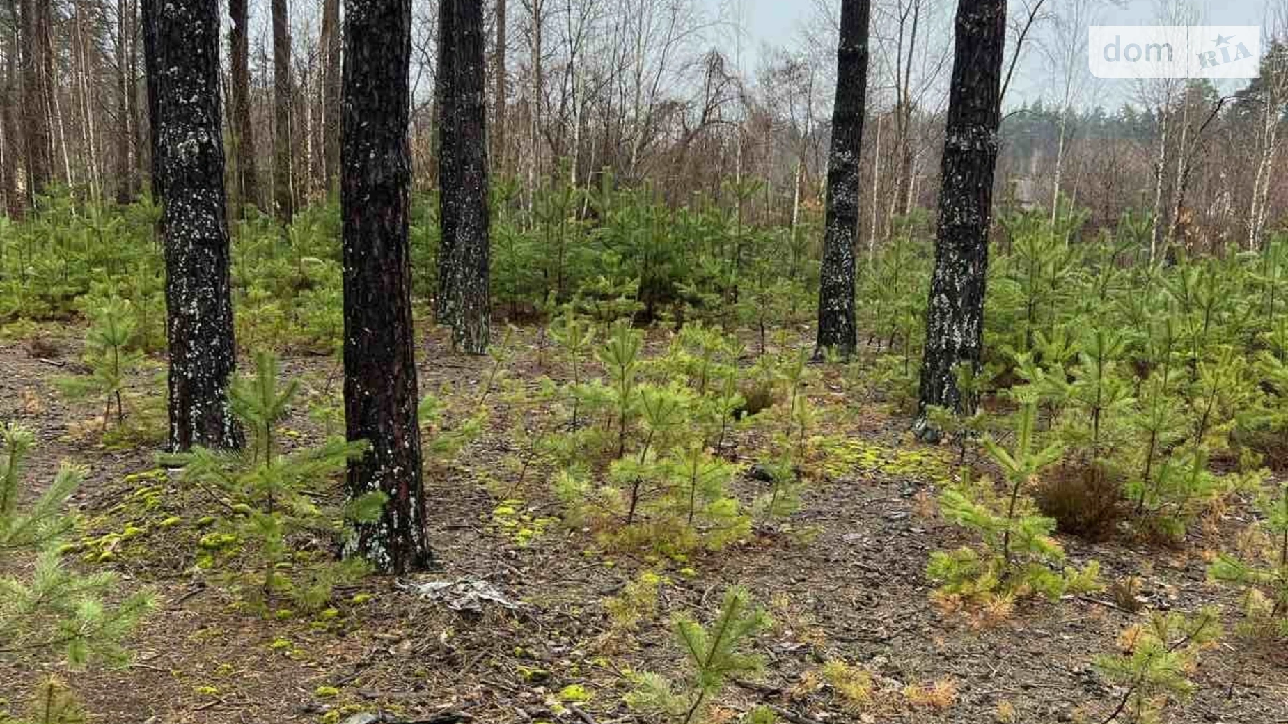 Продається земельна ділянка 7 соток у Київській області, цена: 7500 $ - фото 2