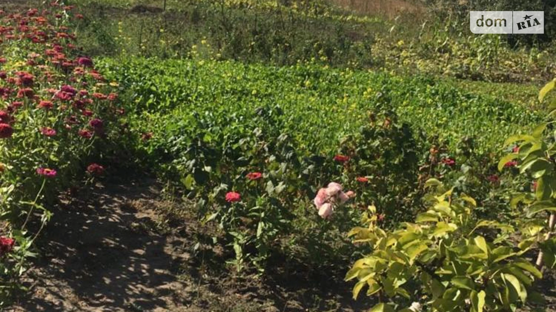 Продається земельна ділянка 8 соток у Хмельницькій області, цена: 1800 $ - фото 4