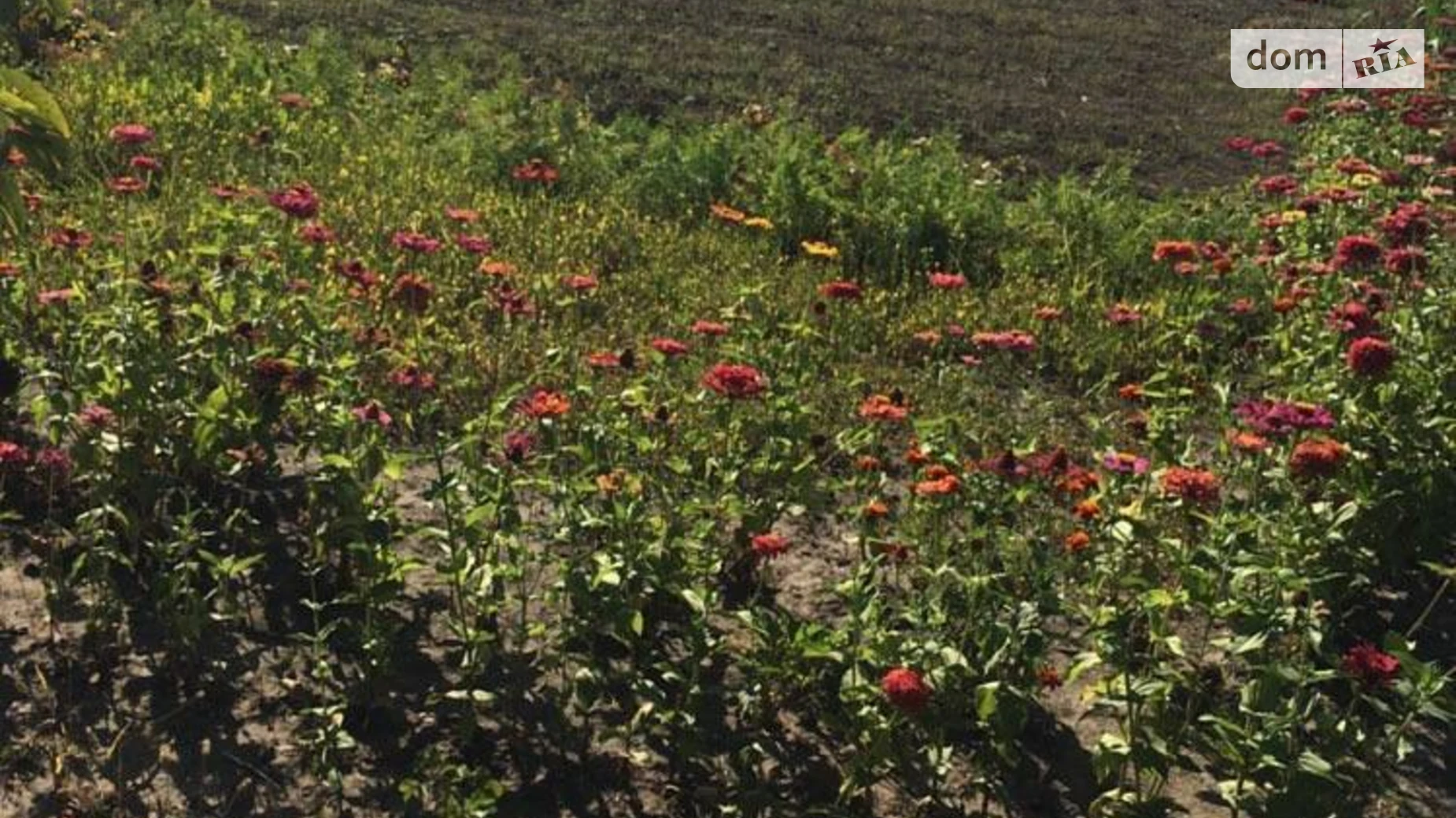 Продається земельна ділянка 8 соток у Хмельницькій області, цена: 1800 $ - фото 5