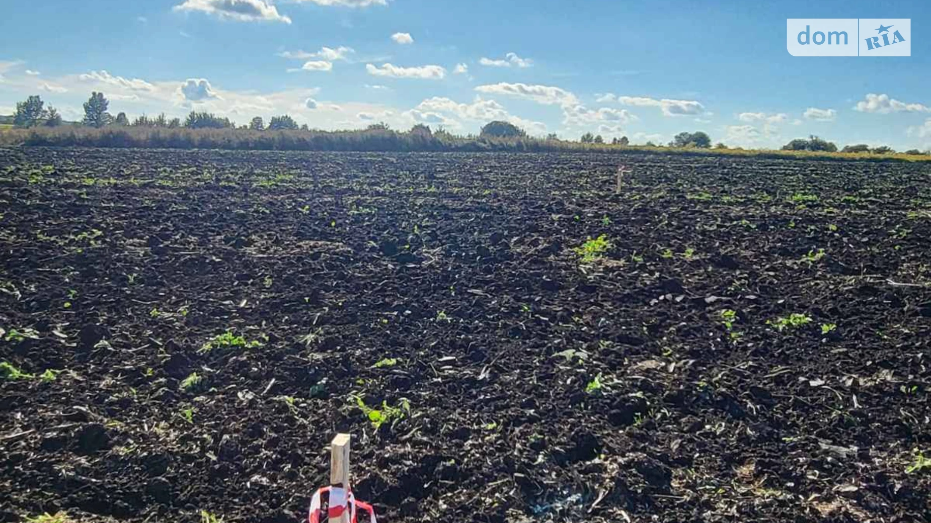 Глуховичи, цена: 10000 $ - фото 3