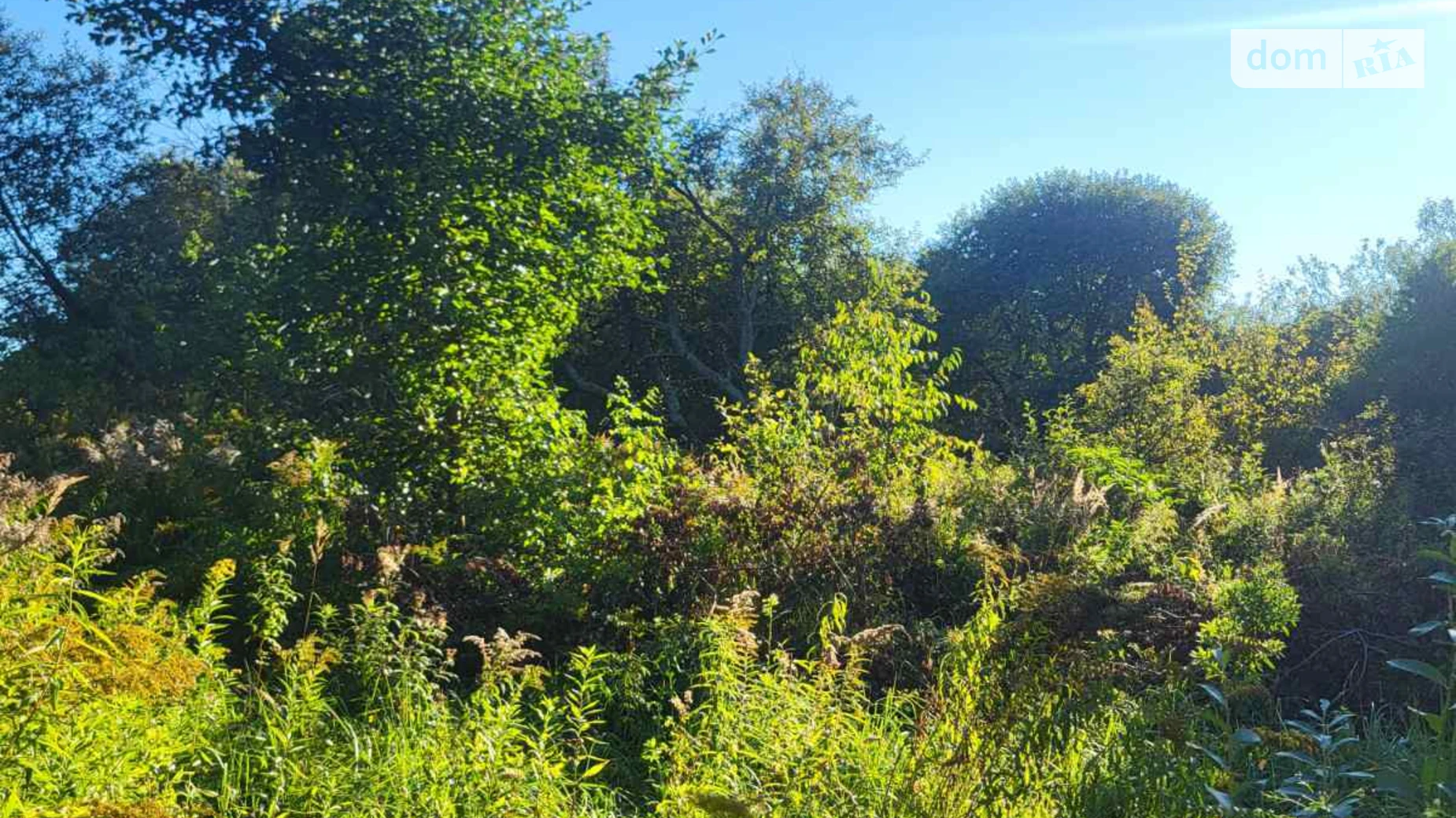 Продается земельный участок 8 соток в  области, цена: 8000 $ - фото 3