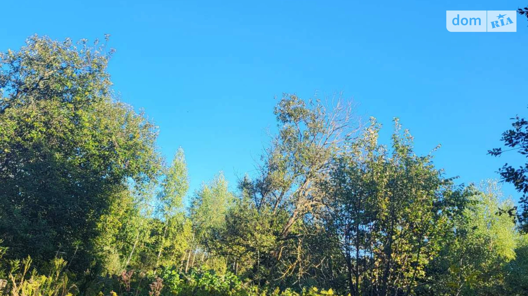 Продается земельный участок 8 соток в  области, цена: 8000 $ - фото 2