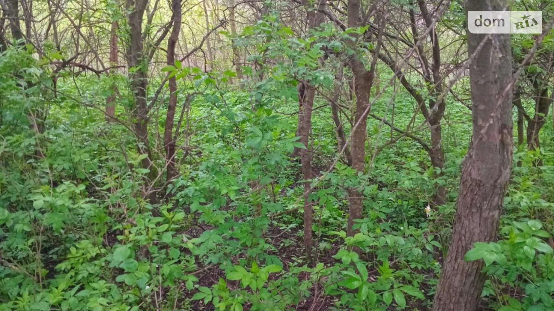 Продается земельный участок 14 соток в Тернопольской области, цена: 3000 $ - фото 3