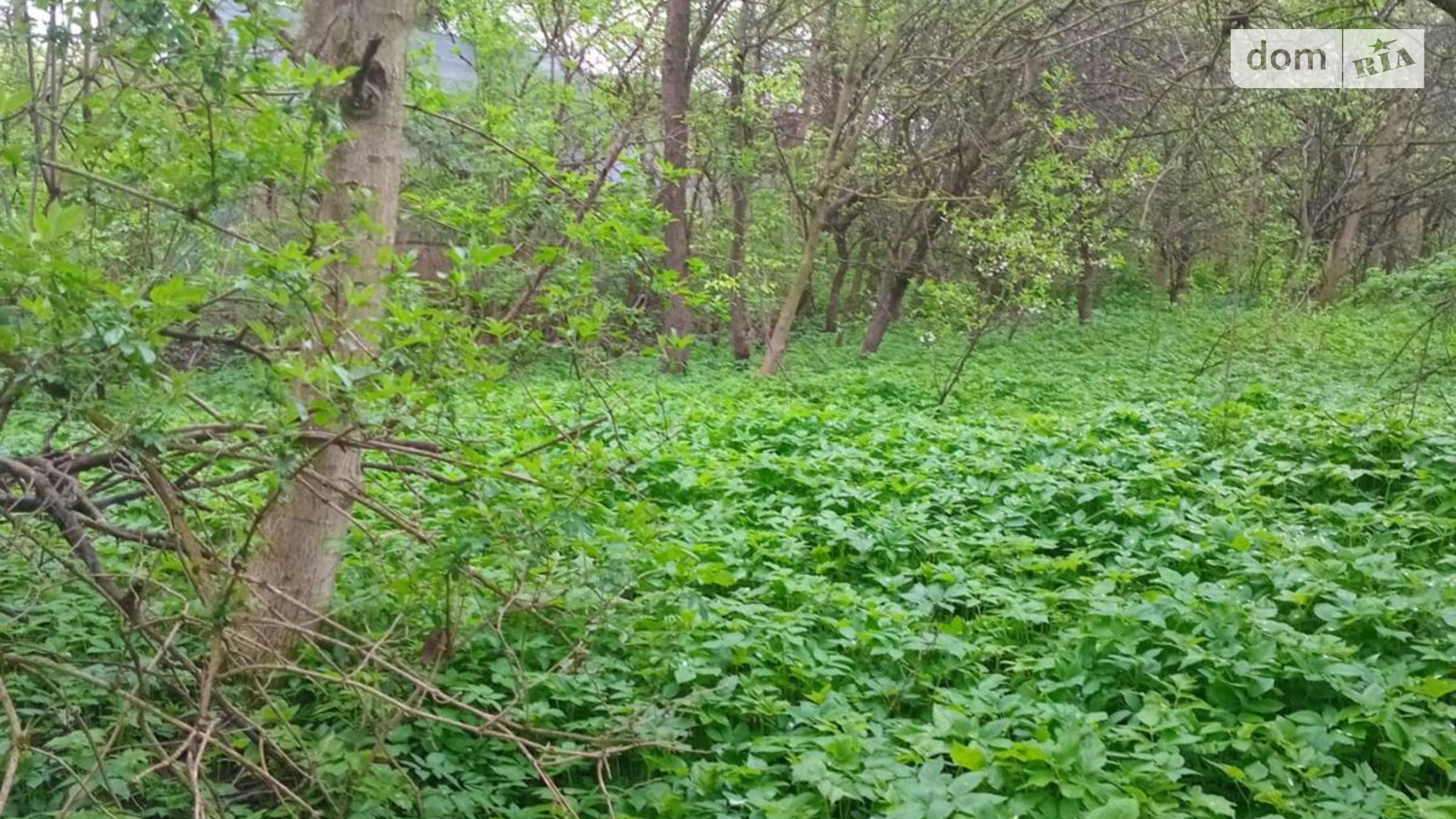 Продается земельный участок 14 соток в Тернопольской области, цена: 3000 $ - фото 4