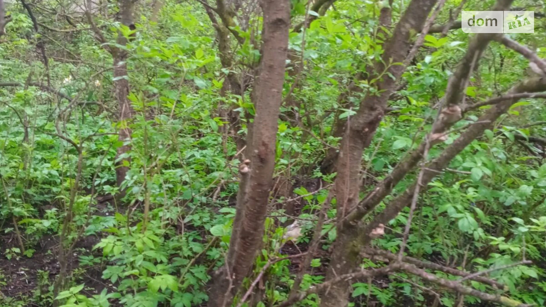 Продается земельный участок 14 соток в Тернопольской области, цена: 3000 $ - фото 5