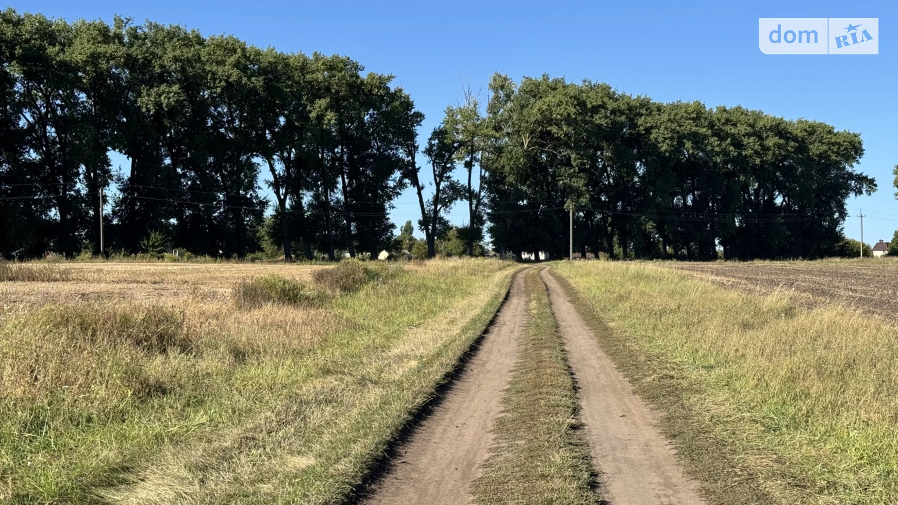 Продается земельный участок 20 соток в Винницкой области, цена: 16000 $ - фото 3