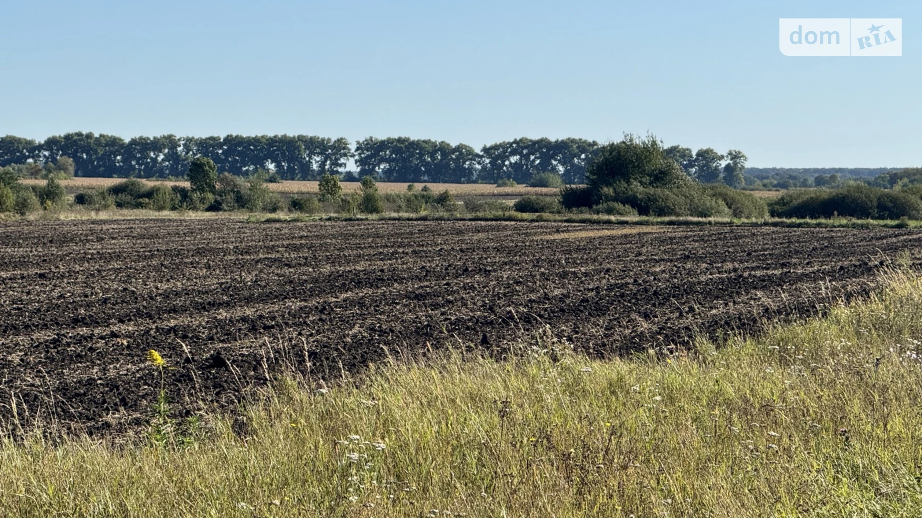 Продается земельный участок 20 соток в Винницкой области, цена: 16000 $ - фото 4