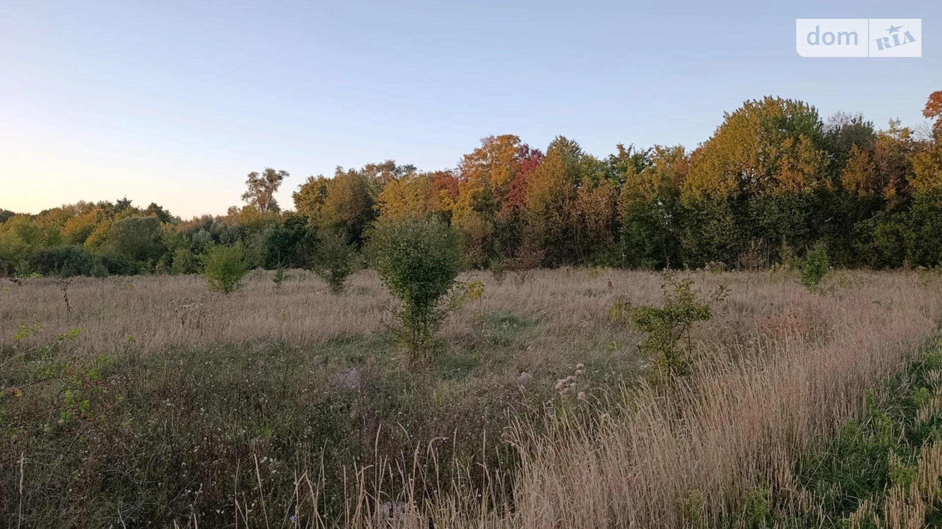 Продается земельный участок 30 соток в Винницкой области, цена: 30000 $ - фото 4