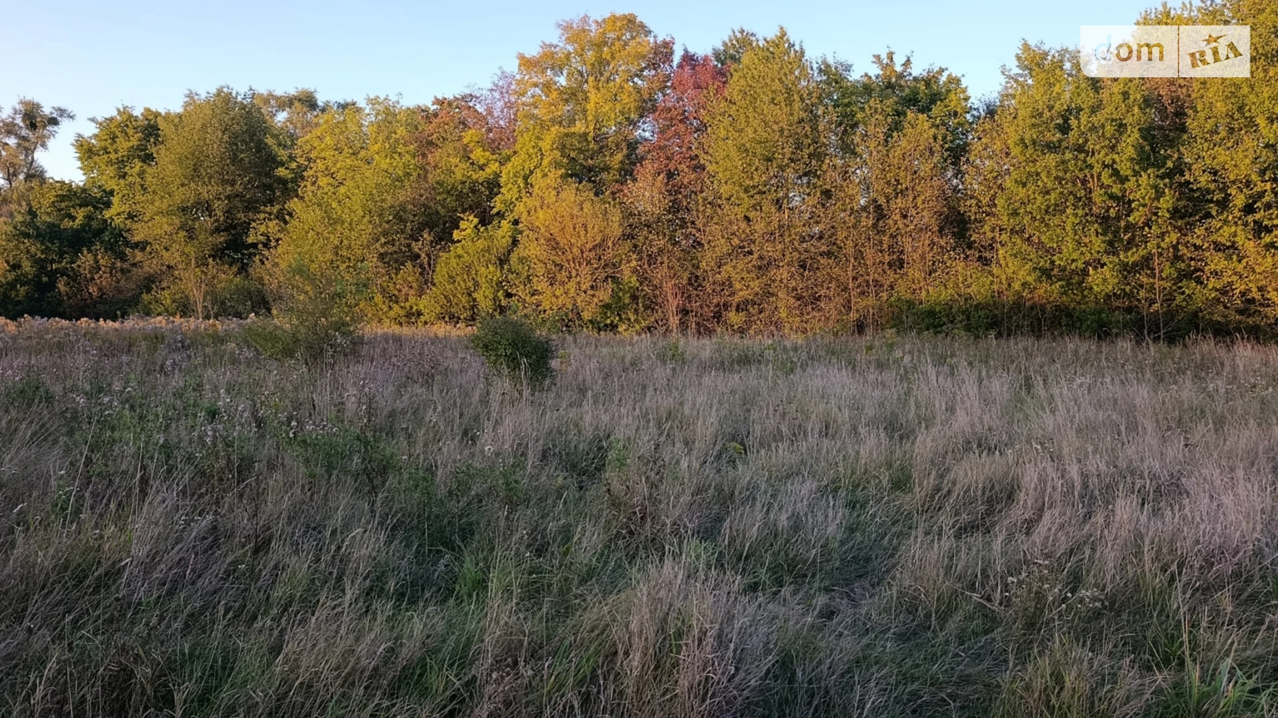 Продается земельный участок 30 соток в Винницкой области, цена: 30000 $ - фото 2