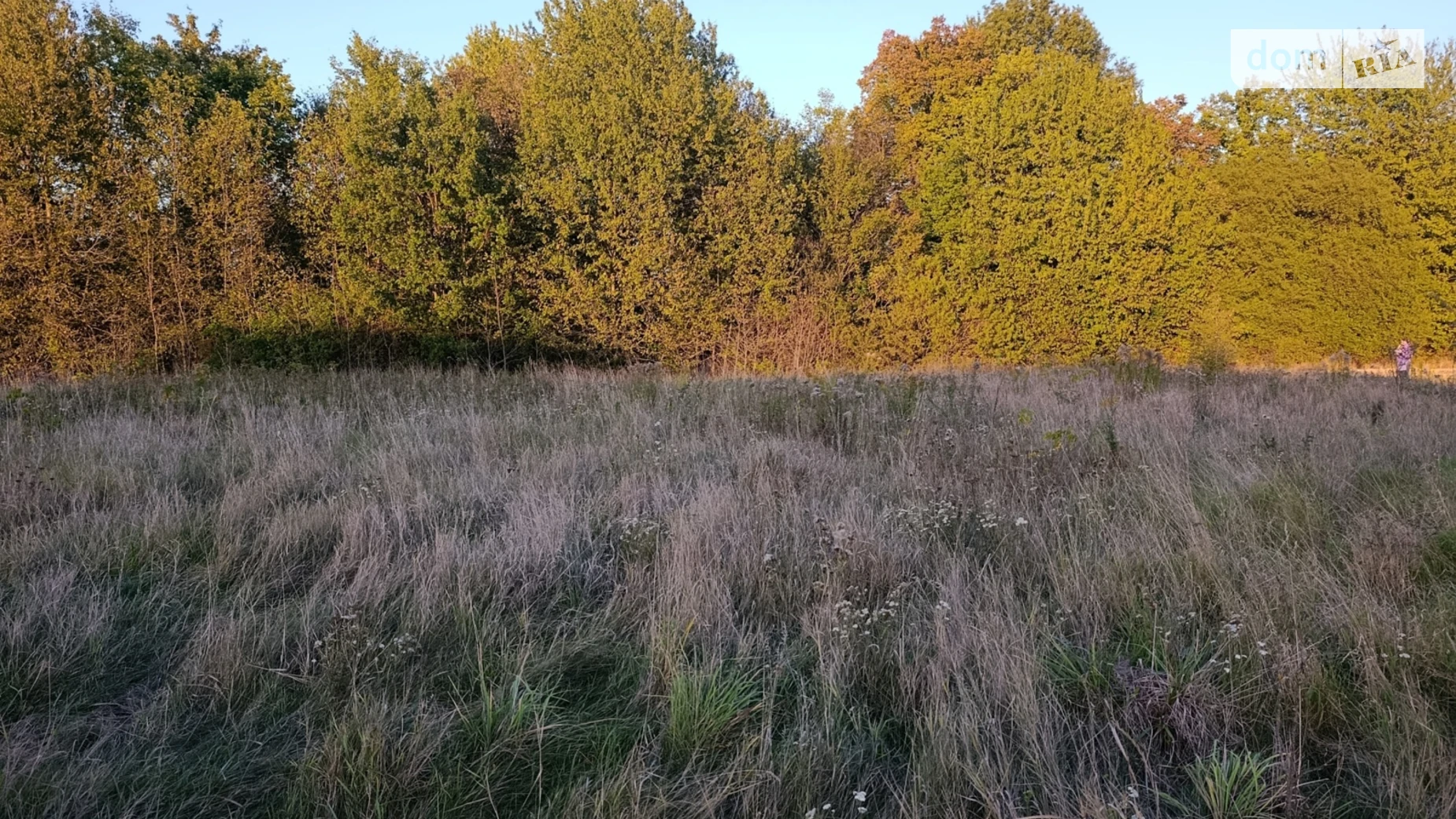 Продается земельный участок 30 соток в Винницкой области, цена: 30000 $ - фото 5