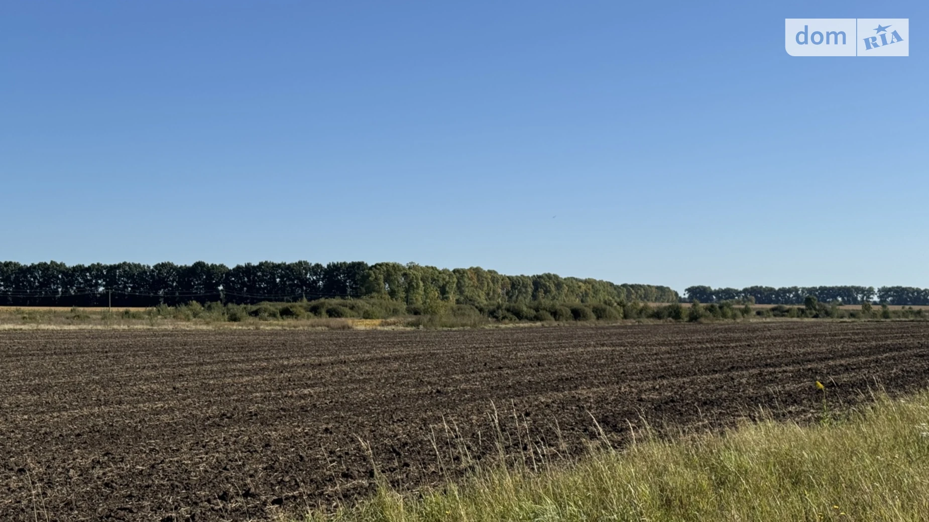 Продается земельный участок 20 соток в Винницкой области, цена: 16000 $ - фото 3