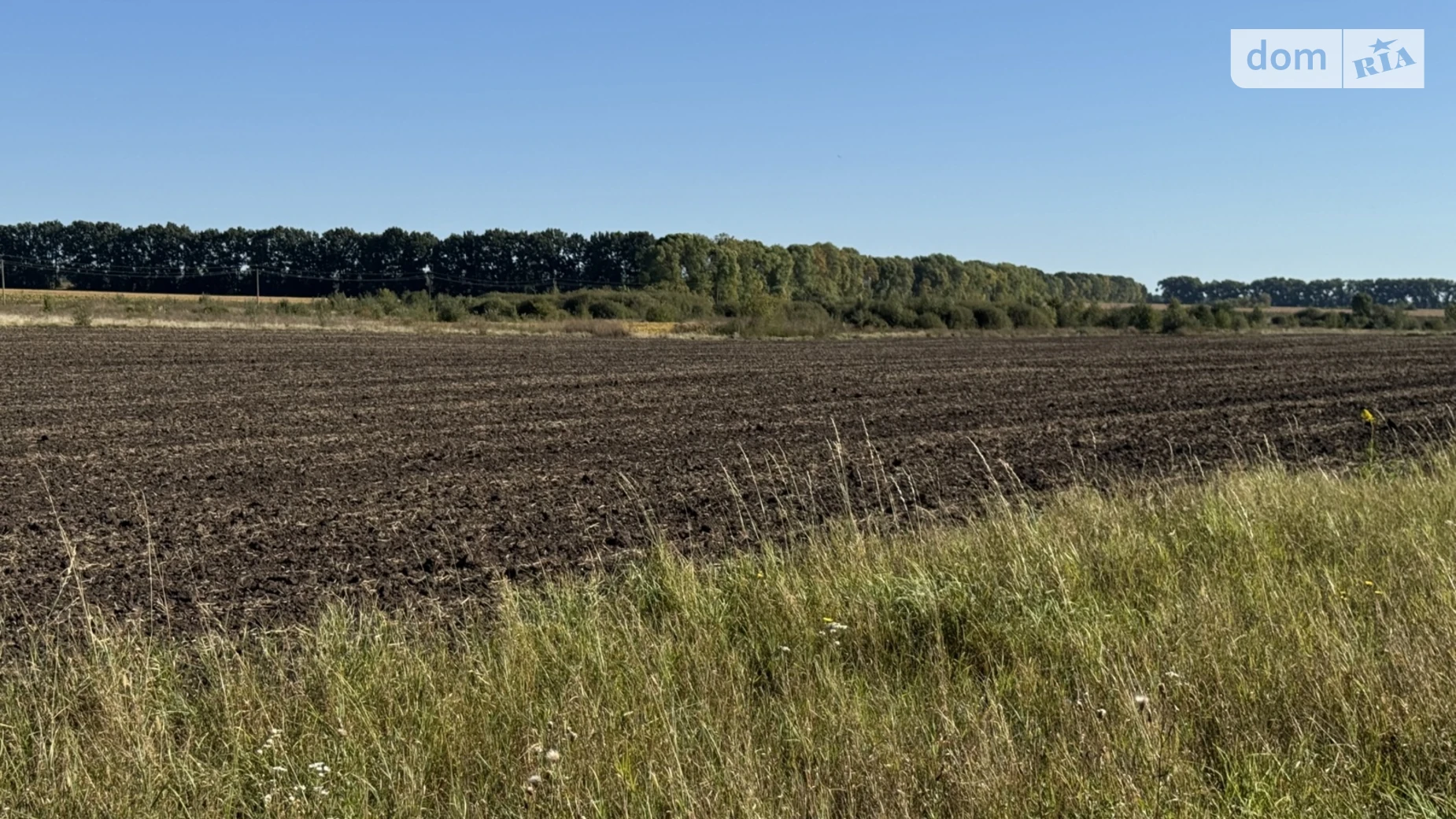 Продается земельный участок 20 соток в Винницкой области, цена: 16000 $ - фото 5