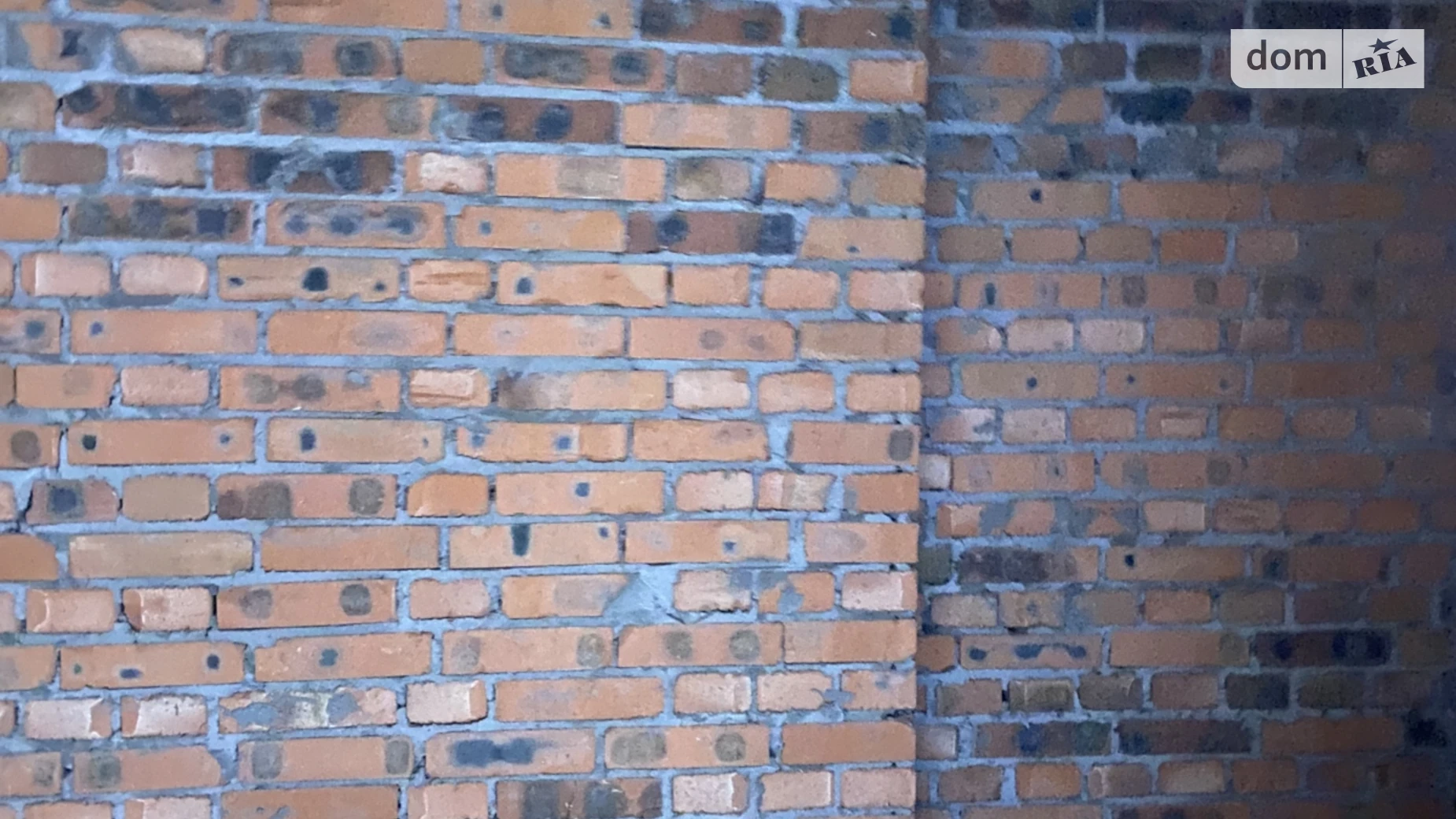 Продается 1-комнатная квартира 33 кв. м в Ирпене, ул. Троицкая(Пролетарская) - фото 4